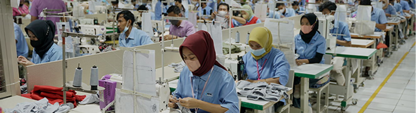 Gina job images 2 inside