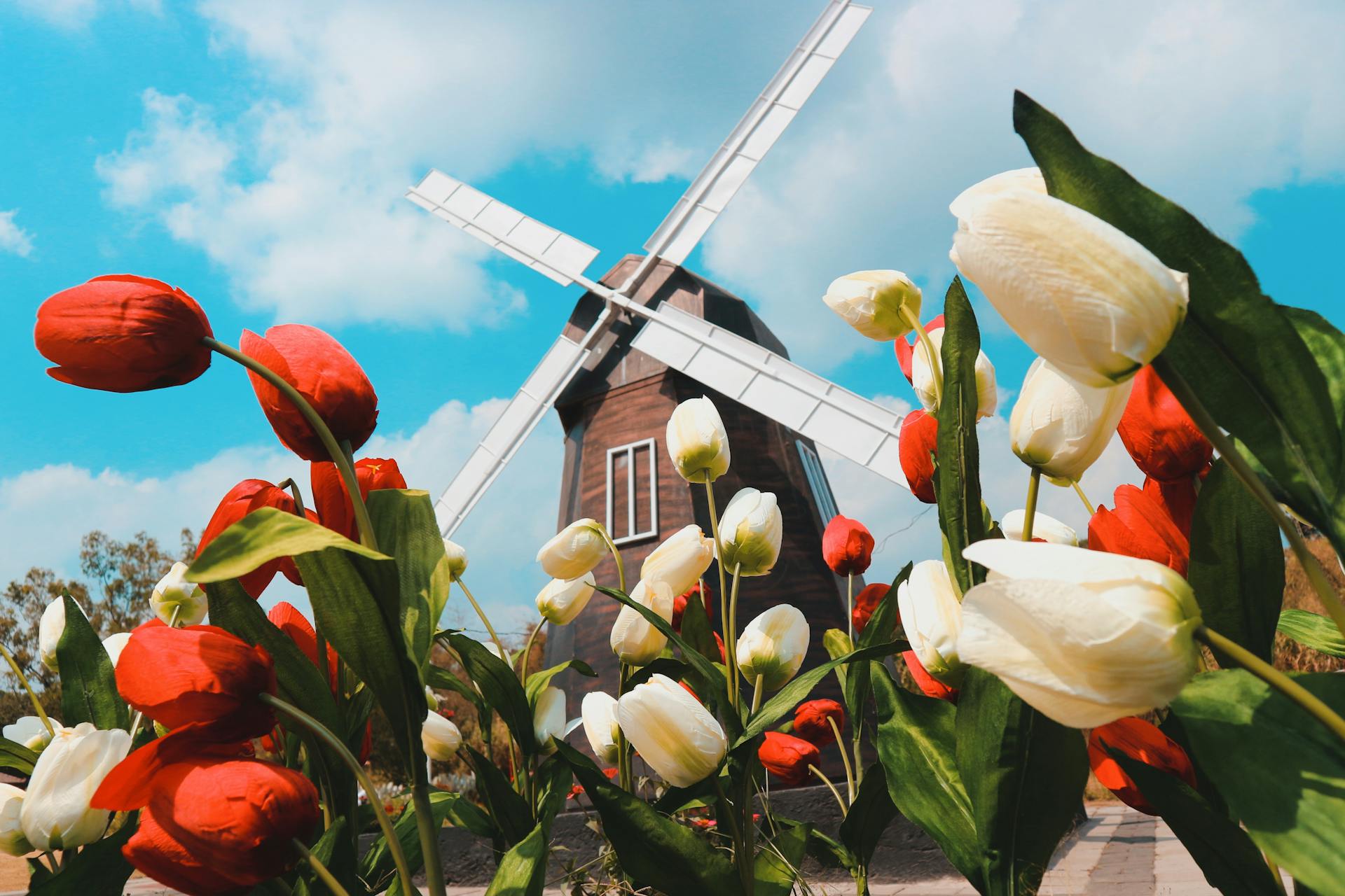 Netherlands holland 1