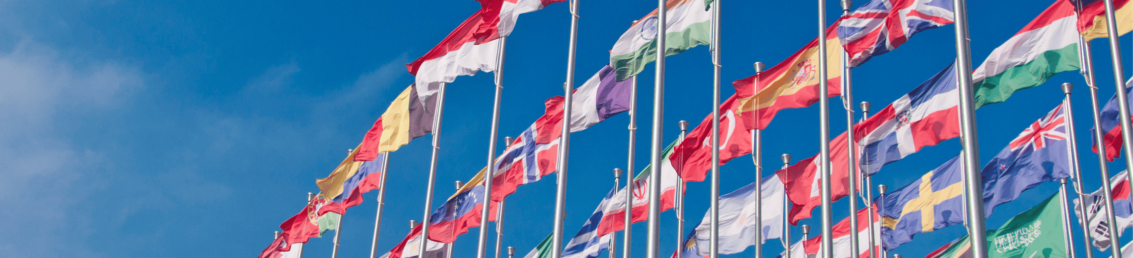 Do you need english to get a job abroad