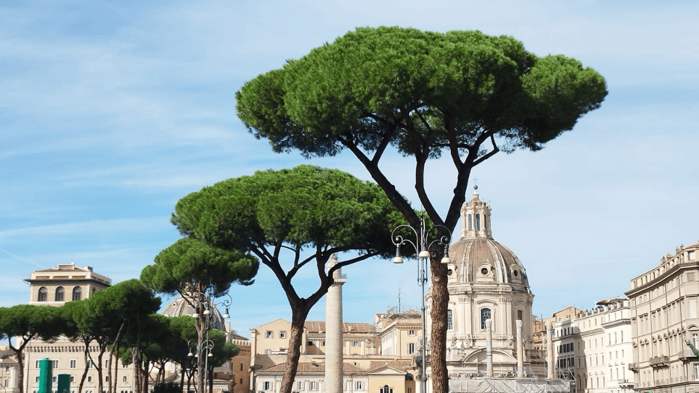 Rome 2