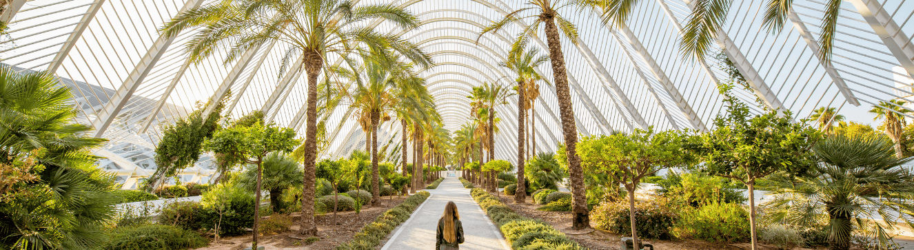 Valencia featured image job 2
