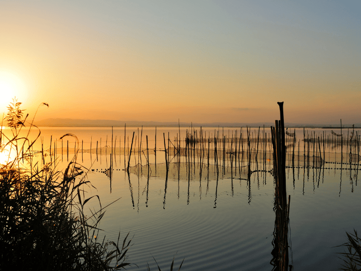 Best spots for becoming a local; living and working in Valencia, Albufera
