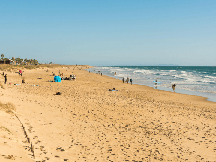 Best spots for becoming a local; living and working in Valencia, El Palmar